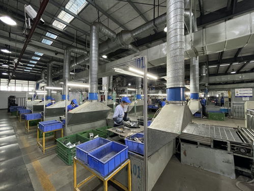 真拆vs二次銷售 長虹美菱以產(chǎn)業(yè)鏈打造家電回收體系新標(biāo)桿