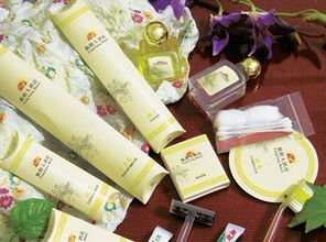 酒店客房一次性用品的時(shí)尚與實(shí)用——從假日到度假的全方位體驗(yàn)